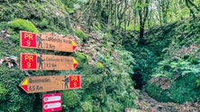 Turista caiu na levada do Caldeirão Verde (vídeo)