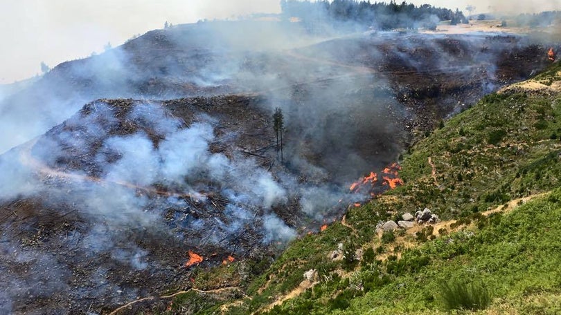 Parque Ecológico do Funchal promove voluntariado