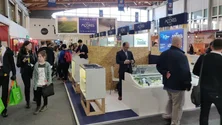 Imagem de Empresários cabo-verdianos e açorianos estão em cooperação (Vídeo)