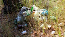 Imagem de Papel, mascaras, plástico e beatas são alguns dos exemplos de lixo recolhidos na serra (áudio)