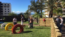 Imagem de Jardins da Ajuda acolhem o primeiro parque canino da Região