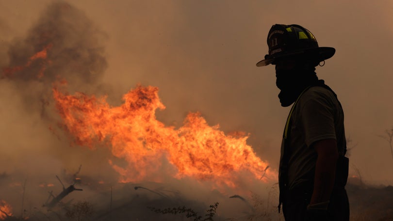 Portugal vai enviar contingente de combate a fogos florestais para o Chile