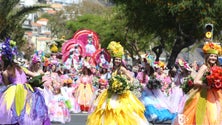 Imagem de Cerca de 2000 participantes de 14 trupes desfilaram no Cortejo da Flor