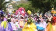 Imagem de Cerca de 2000 participantes de 14 trupes desfilaram no Cortejo da Flor