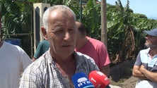 Imagem de GESBA gere pior o setor da banana que as corporativas (vídeo)
