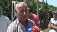 Imagem de GESBA gere pior o setor da banana que as corporativas (vídeo)