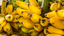 Imagem de Este pode ser um ano recorde na produção de banana