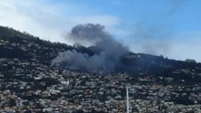 Imagem de Incêndio em armazém de produtos alimentares, na Boa Nova, mobiliza bombeiros