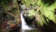 Imagem de Local da levada em São Vicente onde jovem morreu no sábado após cair não tem varandim (Áudio)