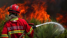 Imagem de Incêndios: Detido suspeito de atear fogo com isqueiro em Baião