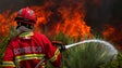 Incêndios: Detido suspeito de atear fogo com isqueiro em Baião