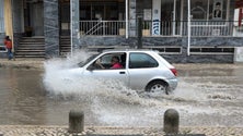 Imagem de Mau tempo: Mais de 2.200 ocorrências até às 17:00 em Portugal continental