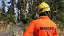 Imagem de Bombeiros da Ribeira Brava abrem formação para voluntários (Vídeo)