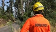 Bombeiros da Ribeira Brava abrem formação para voluntários (Vídeo)