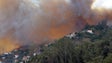 Polícia Florestal detetou 6 queimadas ilegais na Madeira este ano (Áudio)