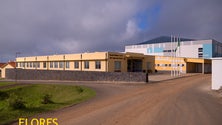 Imagem de Escola Básica das Flores afirma cumprir normas sanitárias e pedagógicas (Vídeo)
