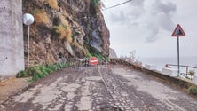 Imagem de Limpeza de escarpa obriga a encerramento da Estrada dos Anjos
