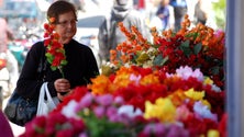 Dia da Mulher aumenta comércio das flores