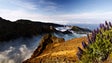 Imagem de Madeira pode ser nomeada Melhor Região de Turismo Nacional hoje