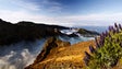 Madeira pode ser nomeada Melhor Região de Turismo Nacional hoje