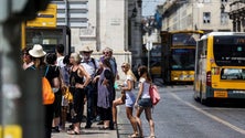 Imagem de Governo da Madeira avança com nova rede de transportes públicos intermunicipais