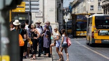 Governo da Madeira avança com nova rede de transportes públicos intermunicipais