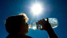 Imagem de Madeira sob aviso amarelo devido ao calor entre sábado e segunda-feira