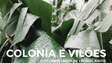 Imagem de “Colonia e Vilões” editado em DVD