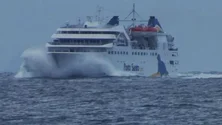 Imagem de Lobo Marinho cancela viagem para o Porto Santo