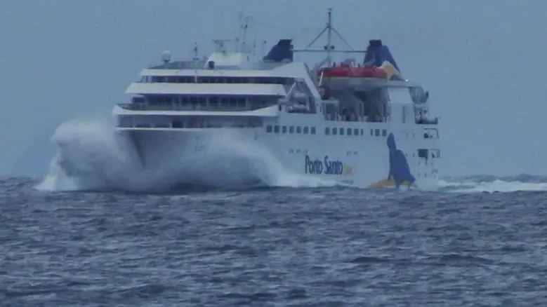 Imagem de Lobo Marinho cancela viagem para o Porto Santo