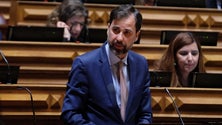 Imagem de PSD exige “rápida presença” da TAP no parlamento para explicar cancelamento de voos
