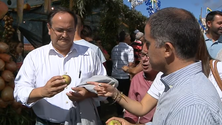Imagem de CDS enaltece apoio à produção de pêro (vídeo)