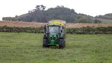 Açores e Madeira juntos pelo POSEI