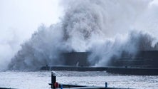 Imagem de Estragos condicionam marina da Calheta