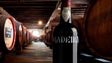 Imagem de Comércio de Vinho Madeira já rendeu 13,4 milhões (vídeo)