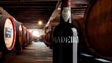 Comércio de Vinho Madeira já rendeu 13,4 milhões (vídeo)