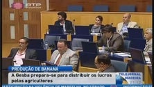 Imagem de Gesba prepara-se para distribuir os lucros pelos produtores de banana (Vídeo)