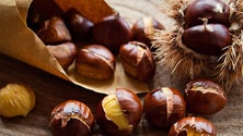 Imagem de Produção de castanha deve ser melhor este ano