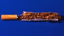 Imagem de Conselho de Ministros aprova alterações à lei do tabaco e diz que é preciso «ir mais longe»