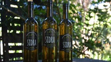 Imagem de Este não foi o melhor ano para a produção do pêro para a sidra (Vídeo)