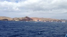 Imagem de Madeira recebe apoios da Europa para aquacultura