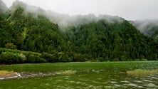 Governo estuda tratamento para a Lagoa das Furnas (Vídeo)