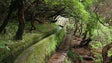 Imagem de Não há fiscalização da atividade de guia-turístico na Madeira