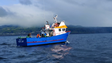 Imagem de Bancos de pesca dos Açores ainda estão bem preservados