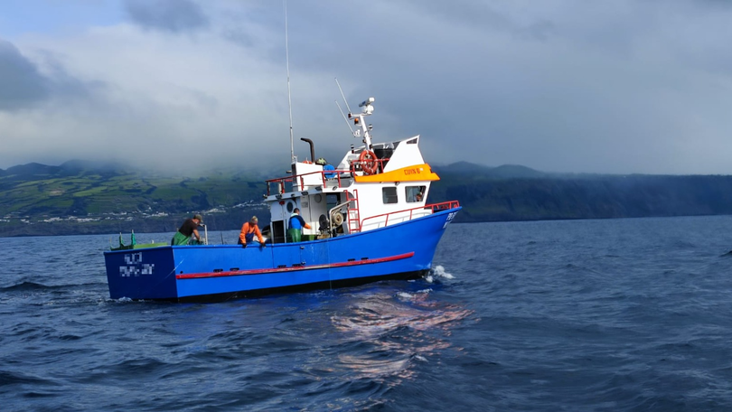 Bancos de pesca dos Açores ainda estão bem preservados