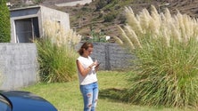 Imagem de Madeira quer eliminar as plumas (áudio)