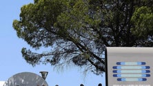 Imagem de Guiné-Bissau anuncia suspensão das atividades da Agência Lusa, RTP e RDP