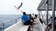 Imagem de Nómadas digitais e VMT Madeira oferecem passeio de catamaran
