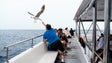 Nómadas digitais e VMT Madeira oferecem passeio de catamaran