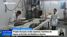 Projeto Europeu avalia espécies marinhas de águas profundas da Madeira e Açores